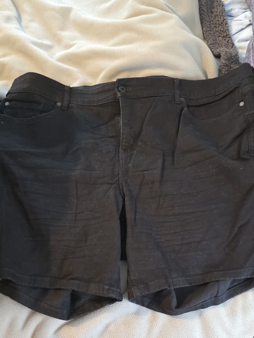 torrid Black Flat Front Men's Shorts